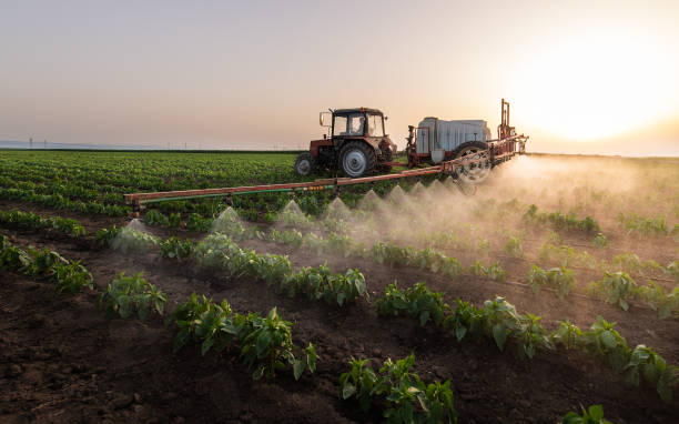 Best Mosquito Control Services  in Gillette, NJ