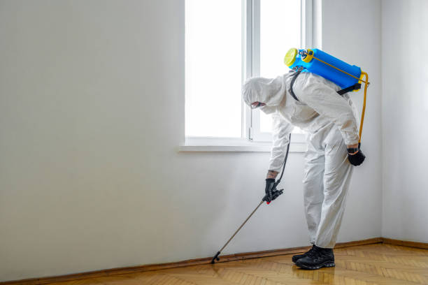 Best Ant Control Services  in Gillette, NJ