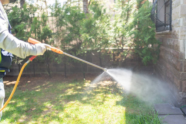 Best Affordable Pest Control Services  in Gillette, NJ