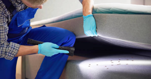 Best Insect Control  in Gillette, NJ