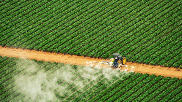 Best Pest Removal Services  in Gillette, NJ