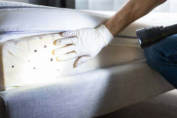 Best Pest Control Near Me  in Gillette, NJ