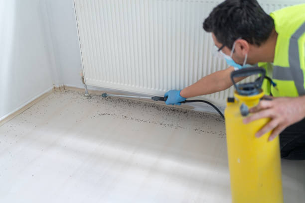 Best Pest Control for Homes  in Gillette, NJ