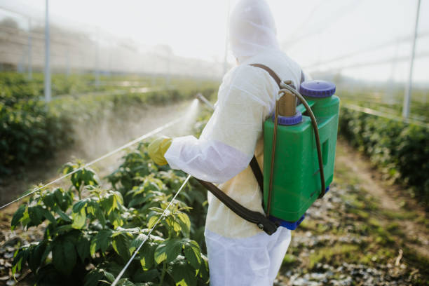 Trusted Gillette, NJ Pest Control Experts